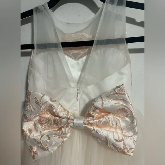 Elegant Cream and Peach Gold Floral Gown - Picture 10 of 12
